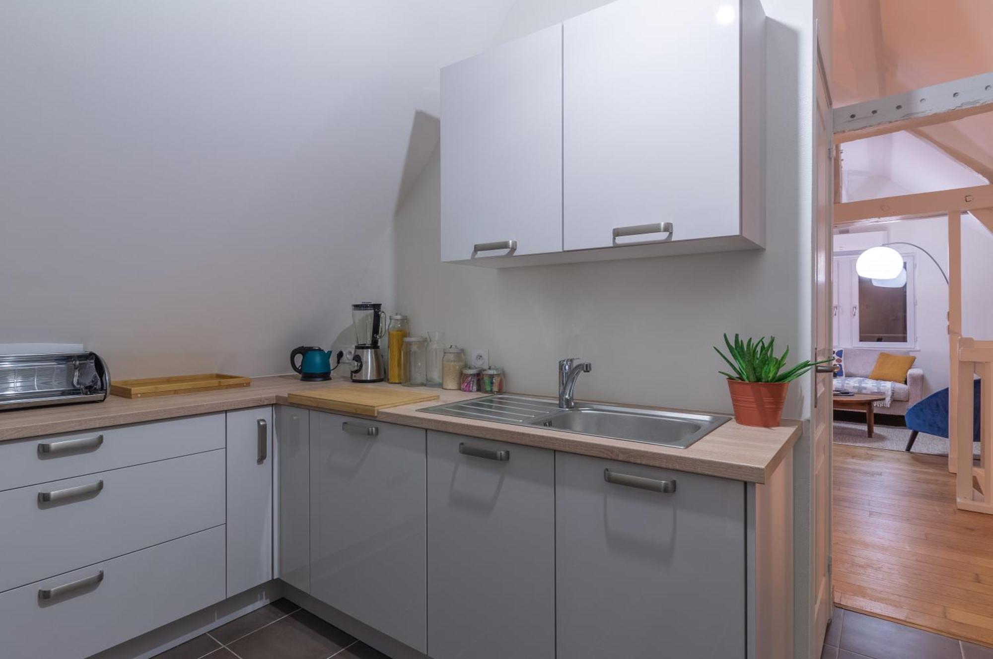 Le 13 Elegant Troyes Apartment Ngoại thất bức ảnh